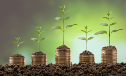Top sustainable banking accounts: How to bank on the environment